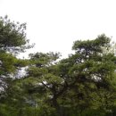 솔미농장 이미지