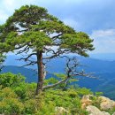 가리산길 이미지