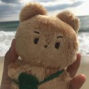 랑구초밥 | 나락도 락이다 。。𖤐