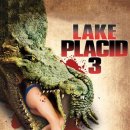 플래시드인 이미지