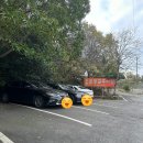 춘향골 추어탕 이미지