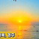 경주감포트라제8