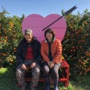 근화농장 이미지