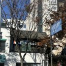 8번가위드팜약국 이미지