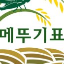 철원농업협동조합 미곡종합처리장 이미지