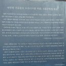 아리아 Ⅱ 이미지