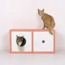 더 크린＃ 이미지