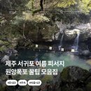 원앙금방 | 제주도 서귀포 놀거리 돈내코 원앙폭포 물놀이 수심 이용시간까지