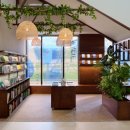 마티에 오시리아 이미지