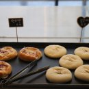 파라이소 이미지