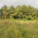 강정동-29 이미지