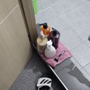 복땡이 | 아기 후두염 입원 후기, 수성아동병원 입원 준비물부터 병실 생활까지
