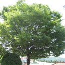 철원읍사무소 이미지