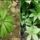 고잔역_신도시방향 이미지