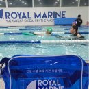 로얄마린 민락점 이미지
