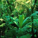 헤어로즈 이미지