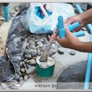 대진여관 이미지