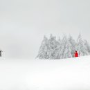 행복한목장 이미지