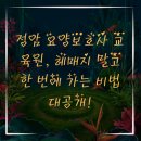 정암 요양보호사교육원 이미지