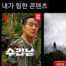 최창호농장 | 넷플릭스 드라마 : 수리남 실화 배경 줄거리 (+솔직후기)