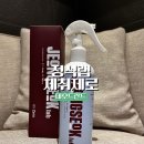 두땀 | 정석랩 데오드란트 체취제로 출퇴근 땀냄새 케어 후기