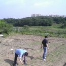 경선농장 이미지