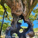 오동마을회관 이미지