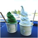 고향목장 | 제주도 말차 맛집 성이시돌목장 카페 우유부단 내돈내산