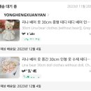테디익스프레스