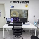 제주24시숨동물의료센터 뉴스1