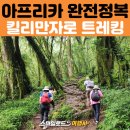 가브리엘농장 | 아프리카 패키지여행 : 탄자니아 모시 선택 투어 #1킬리만자로 원데이 트레킹