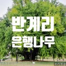 반계1리마을회관 이미지