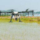 전진농장 이미지