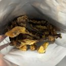 나정푸드 | 강아지 수제간식 추천 애견 보양식 나정푸드