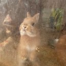 포시즌농장 | [포시즌 힐링팜] 아이랑 가기 좋은 체험형 농장 추천, 가성비 좋은 농장 체험