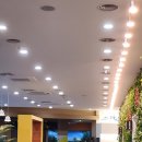 도란도란 디자인놀이터 | 입장료 0원인데 퀄리티가 이정도?! 홍천 아이랑 꼭 가야 할 숨은 명소 🌿