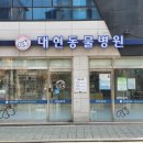 양천종합동물병원 이미지