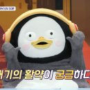 •2월 6일 (월) <b>JTBC</b> 톡파원25시 1주년