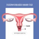 경부한의원 이미지