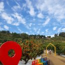 신행농장 이미지