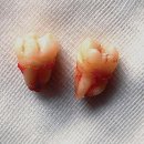 이경우치과의원 이미지