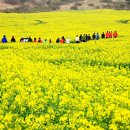 표선면-13 이미지