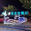 속초 청초호의 야경'♡강방6월2일 목욜 출석부 '♡ 이미지