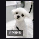 비어플독