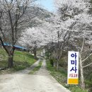 아미사입구 Daum카페