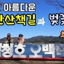 무심재투어