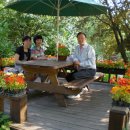 독도식당 이미지