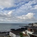 보헤미안 애월 이미지