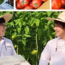 벌재농장 이미지