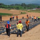 행안면사무소 이미지